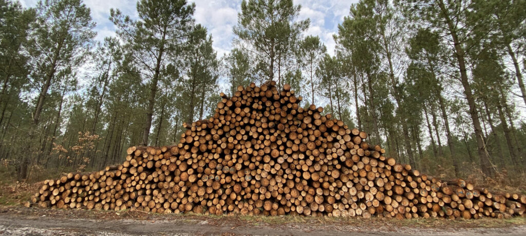 ¿Cómo contribuye la madera plástica a frenar la deforestación?